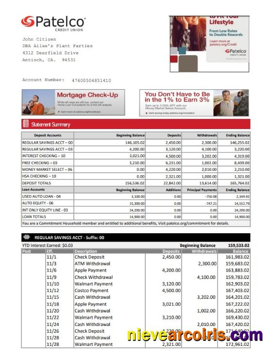 USA California Patelco Credit Union bank statement in Excel and PDF format